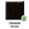 BA204_Genesis_sm.jpg